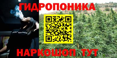 2c-b Обнинск